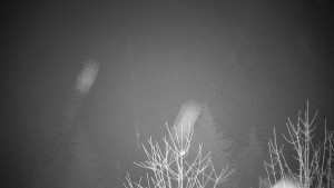 Chata Myslivna SKP Olomouc - Posezení - 16.12.2025 v 06:00 Chata Myslivna SKP Olomouc - Posezení - 16.12.2025 v 06:00