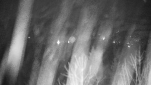 Chata Myslivna SKP Olomouc - Posezení - 1.1.2026 v 01:30 Chata Myslivna SKP Olomouc - Posezení - 1.1.2026 v 01:30