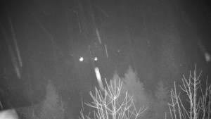 Chata Myslivna SKP Olomouc - Posezení - 1.1.2026 v 02:30 Chata Myslivna SKP Olomouc - Posezení - 1.1.2026 v 02:30