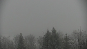 Chata Myslivna SKP Olomouc - Posezení - 1.1.2026 v 07:30 Chata Myslivna SKP Olomouc - Posezení - 1.1.2026 v 07:30