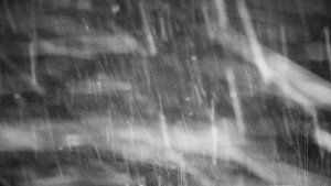 Chata Myslivna SKP Olomouc - Posezení - 13.1.2026 v 02:30 Chata Myslivna SKP Olomouc - Posezení - 13.1.2026 v 02:30