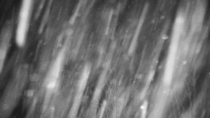 Chata Myslivna SKP Olomouc - Posezení - 13.1.2026 v 03:30 Chata Myslivna SKP Olomouc - Posezení - 13.1.2026 v 03:30