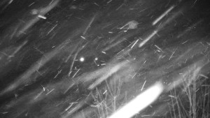 Chata Myslivna SKP Olomouc - Posezení - 13.1.2026 v 06:30 Chata Myslivna SKP Olomouc - Posezení - 13.1.2026 v 06:30