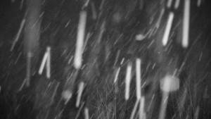 Chata Myslivna SKP Olomouc - Posezení - 13.1.2026 v 07:00 Chata Myslivna SKP Olomouc - Posezení - 13.1.2026 v 07:00