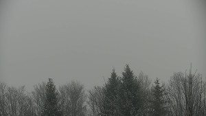 Chata Myslivna SKP Olomouc - Posezení - 13.1.2026 v 08:00 Chata Myslivna SKP Olomouc - Posezení - 13.1.2026 v 08:00