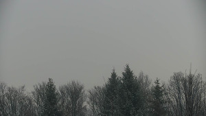 Chata Myslivna SKP Olomouc - Posezení - 13.1.2026 v 09:00 Chata Myslivna SKP Olomouc - Posezení - 13.1.2026 v 09:00