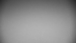 Chata Myslivna SKP Olomouc - Posezení - 22.2.2026 v 04:00 Chata Myslivna SKP Olomouc - Posezení - 22.2.2026 v 04:00