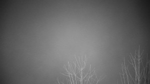 Chata Myslivna SKP Olomouc - Posezení - 5.4.2026 v 03:30 Chata Myslivna SKP Olomouc - Posezení - 5.4.2026 v 03:30