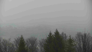 Chata Myslivna SKP Olomouc - Posezení - 5.4.2026 v 07:30 Chata Myslivna SKP Olomouc - Posezení - 5.4.2026 v 07:30