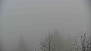 Chata Myslivna SKP Olomouc - Posezení - 5.4.2026 v 08:00 Chata Myslivna SKP Olomouc - Posezení - 5.4.2026 v 08:00