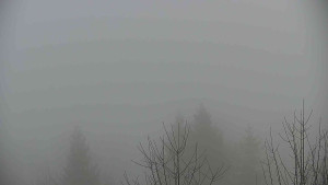 Chata Myslivna SKP Olomouc - Posezení - 5.4.2026 v 09:30 Chata Myslivna SKP Olomouc - Posezení - 5.4.2026 v 09:30