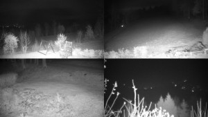 Chata Myslivna SKP Olomouc - Sdružený snímek okolí chaty Myslivna - 5.11.2024 v 00:01 Chata Myslivna SKP Olomouc - Sdružený snímek okolí chaty Myslivna - 5.11.2024 v 00:01