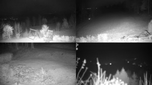 Chata Myslivna SKP Olomouc - Sdružený snímek okolí chaty Myslivna - 5.11.2024 v 04:00 Chata Myslivna SKP Olomouc - Sdružený snímek okolí chaty Myslivna - 5.11.2024 v 04:00