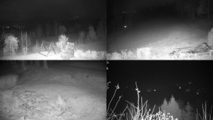 Chata Myslivna SKP Olomouc - Sdružený snímek okolí chaty Myslivna - 5.11.2024 v 22:01 Chata Myslivna SKP Olomouc - Sdružený snímek okolí chaty Myslivna - 5.11.2024 v 22:01