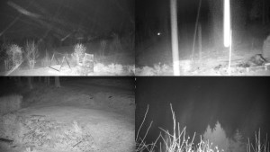 Chata Myslivna SKP Olomouc - Sdružený snímek okolí chaty Myslivna - 14.11.2024 v 19:01 Chata Myslivna SKP Olomouc - Sdružený snímek okolí chaty Myslivna - 14.11.2024 v 19:01