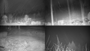 Chata Myslivna SKP Olomouc - Sdružený snímek okolí chaty Myslivna - 14.11.2024 v 20:01 Chata Myslivna SKP Olomouc - Sdružený snímek okolí chaty Myslivna - 14.11.2024 v 20:01