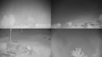 Snímek    25.10.2025 v 05:01