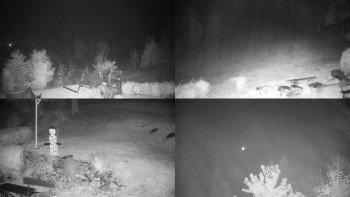 Snímek    26.10.2025 v 00:31