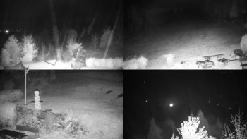 Snímek    27.10.2025 v 23:01