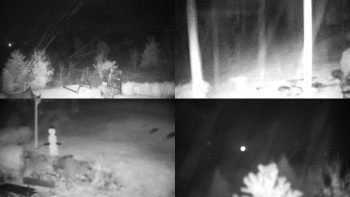 Snímek    28.10.2025 v 00:01