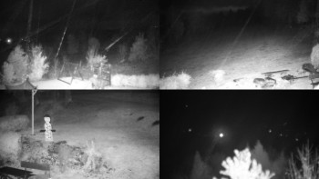 Snímek    28.10.2025 v 03:31