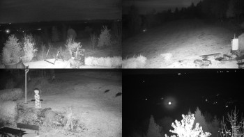 Snímek    29.10.2025 v 18:01