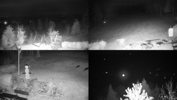 Snímek    1.11.2025 v 01:01