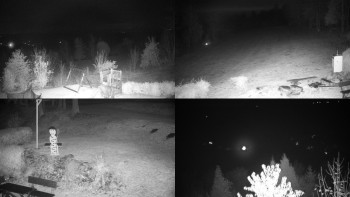 Snímek    1.11.2025 v 04:31