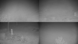 Chata Myslivna SKP Olomouc - Sdružený snímek okolí chaty Myslivna - 2.11.2025 v 05:31 Chata Myslivna SKP Olomouc - Sdružený snímek okolí chaty Myslivna - 2.11.2025 v 05:31