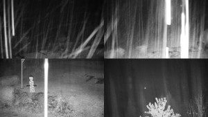 Chata Myslivna SKP Olomouc - Sdružený snímek okolí chaty Myslivna - 2.11.2025 v 17:31 Chata Myslivna SKP Olomouc - Sdružený snímek okolí chaty Myslivna - 2.11.2025 v 17:31