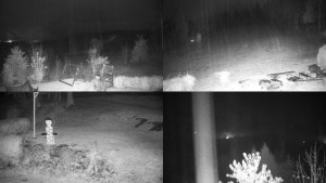 Chata Myslivna SKP Olomouc - Sdružený snímek okolí chaty Myslivna - 2.11.2025 v 18:31 Chata Myslivna SKP Olomouc - Sdružený snímek okolí chaty Myslivna - 2.11.2025 v 18:31