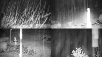 Snímek    3.11.2025 v 00:31