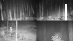 Sdružený snímek okolí chaty Myslivna