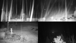 Sdružený snímek okolí chaty Myslivna