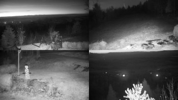 Snímek 5.11.2025 v 05:31