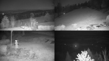 Snímek 7.11.2025 v 00:31