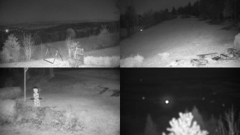 Snímek 7.11.2025 v 01:31