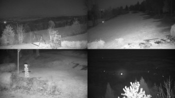 Snímek 7.11.2025 v 02:31