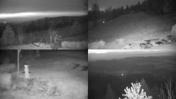 Snímek 7.11.2025 v 06:01