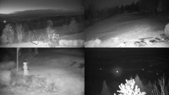 Snímek 8.11.2025 v 05:31