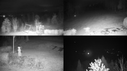 Sdružený snímek okolí chaty Myslivna