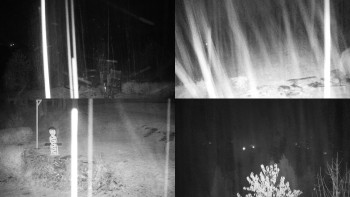 Snímek 8.11.2025 v 19:01