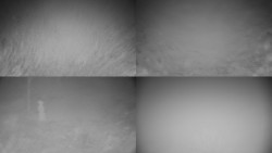 Sdružený snímek okolí chaty Myslivna