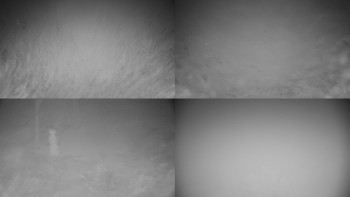 Snímek 8.11.2025 v 22:31