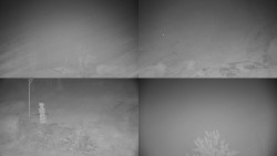 Sdružený snímek okolí chaty Myslivna