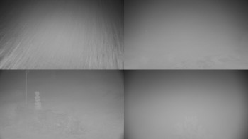 Snímek 9.11.2025 v 05:31