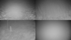 Sdružený snímek okolí chaty Myslivna