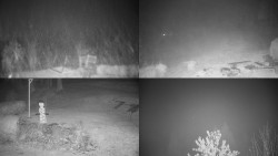 Sdružený snímek okolí chaty Myslivna