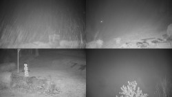 Sdružený snímek okolí chaty Myslivna