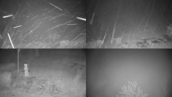 Sdružený snímek okolí chaty Myslivna